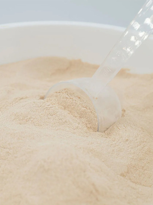 Vitamine VitaC Protégée 1.5kg Reverdy