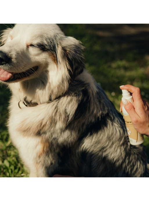 Spray assainissant Cicanat 60ml Nutragile