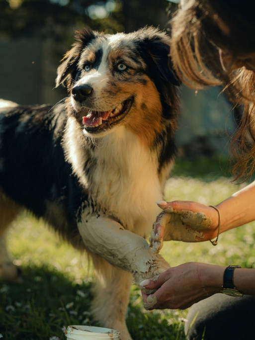 Cataplasme d'argile naturel 750g Nutragile