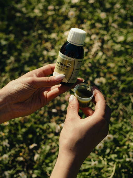 Solution Detox 125ml  Nutragile