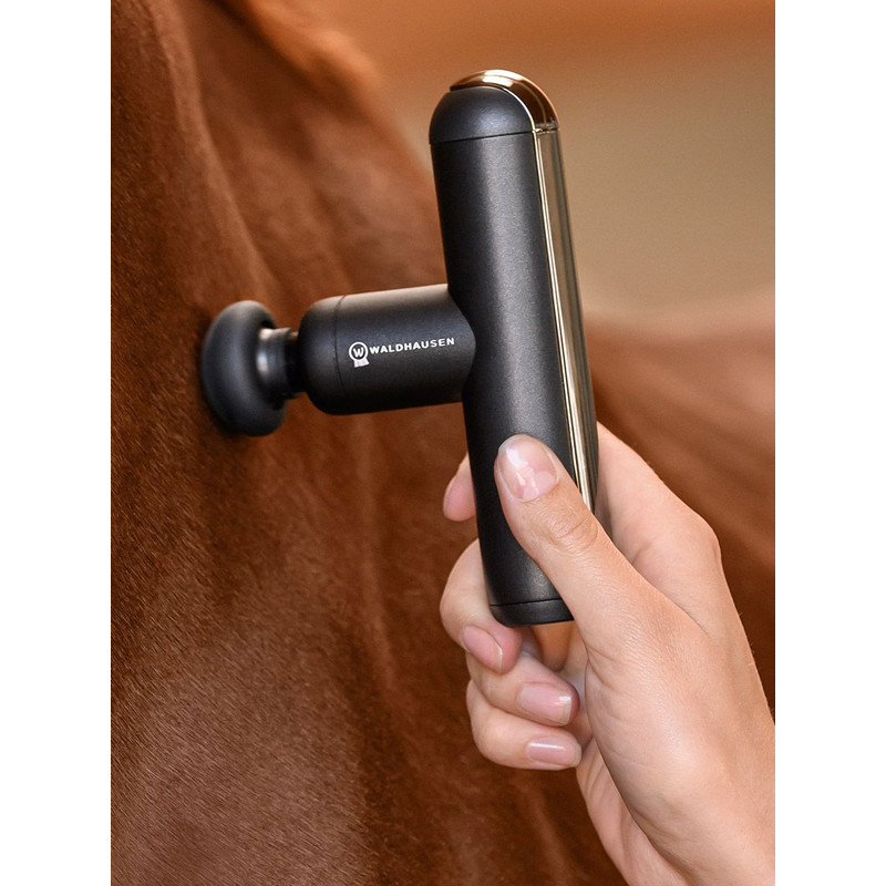 Appareil de massage PocketRelax Waldhausen Health +