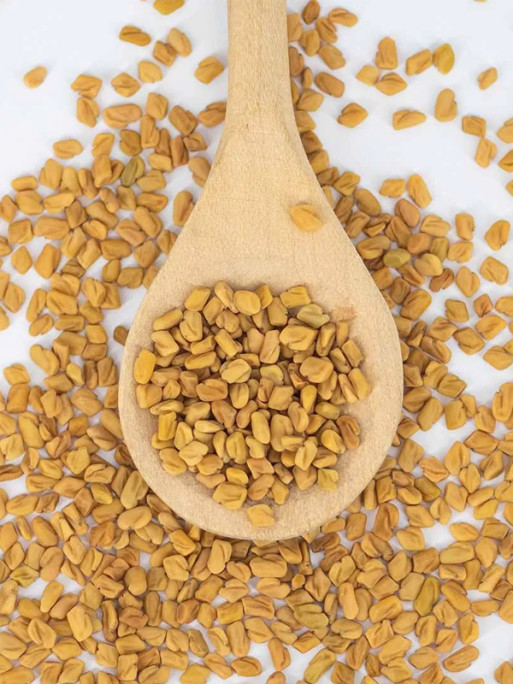 Fenugrec 1kg Reverdy