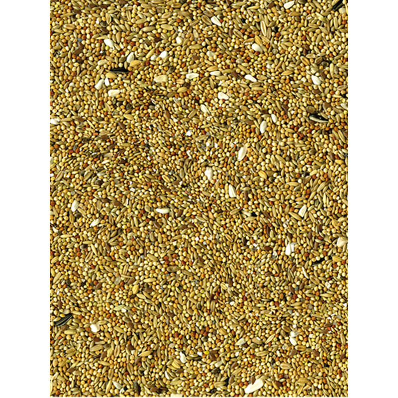 Mélange de graines Basic grandes perruches 20kg Vadigran
