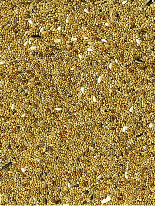 Mélange de graines Basic grandes perruches 20kg Vadigran