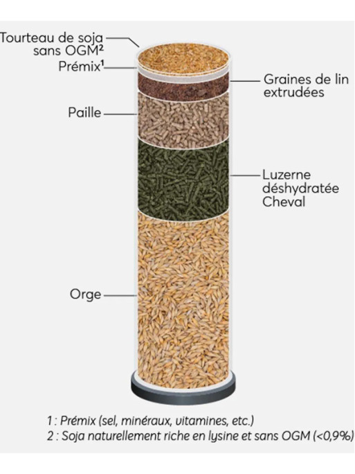 Granulés Adult 20kg Reverdy