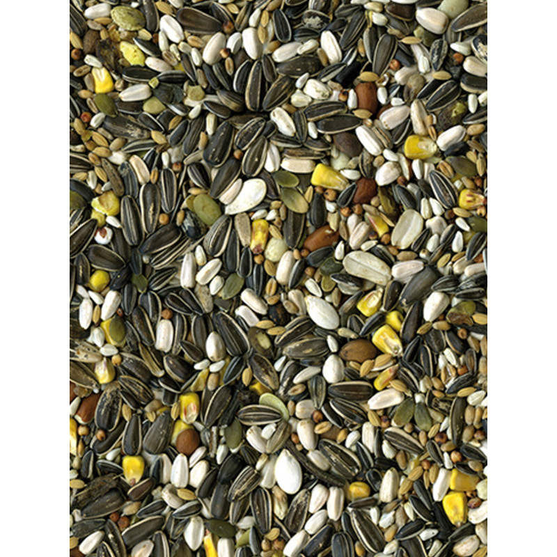 Mélange de graines Original perroquet 2.5kg Vadigran