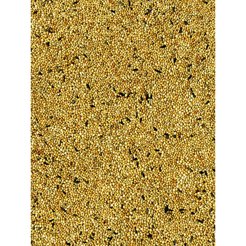 Mélange de graines Original oiseaux exotiques 20kg Vadigran