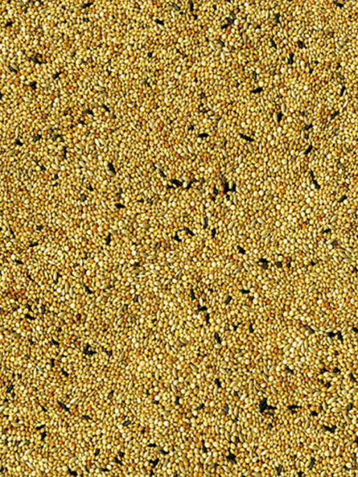 Mélange de graines Original oiseaux exotiques 20kg Vadigran
