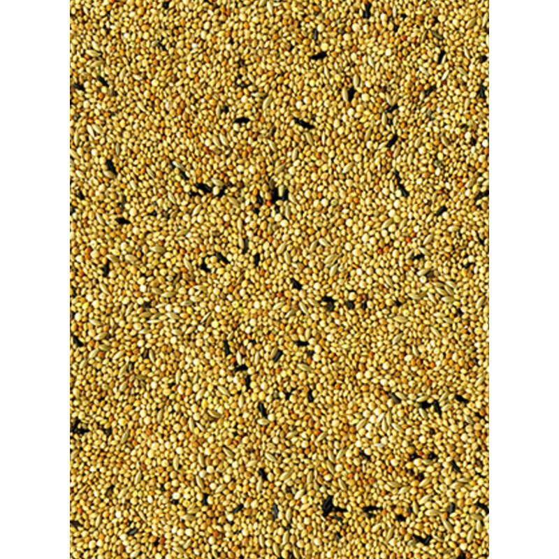Mélange de graines Original oiseaux exotiques 4kg Vadigran