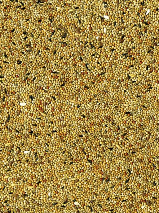 Mélange de graines Original perruches 20kg Vadigran