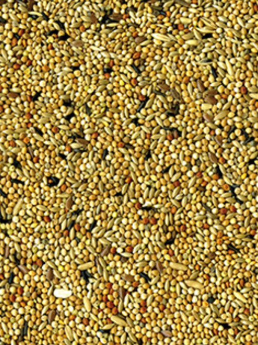 Mélange de graines Original perruches 1kg Vadigran