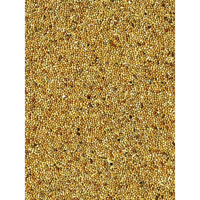 Mélange de graines Basic perruches 20kg Vadigran