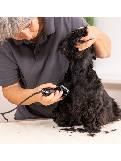 Tondeuse Max50+ Wahl