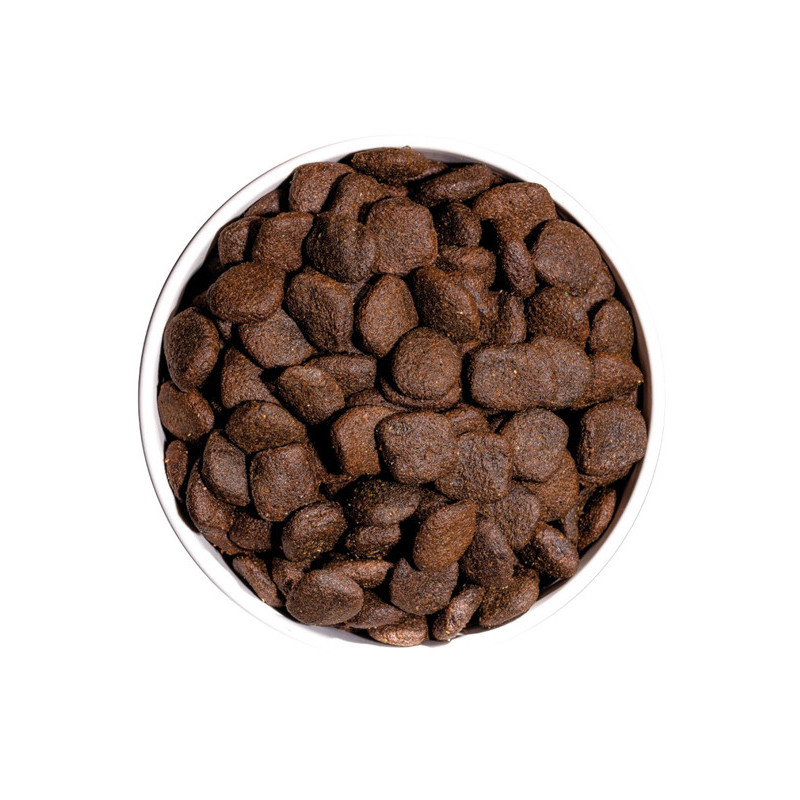 Croquettes Grain Free Hypoallergenic Pork 12kg Ownat