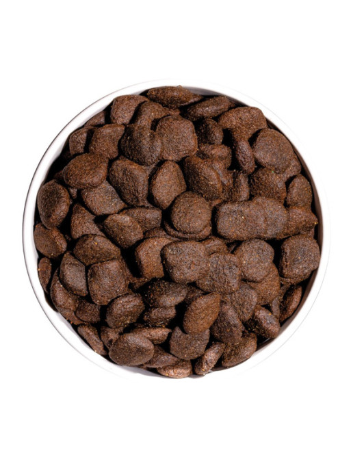 Croquettes Grain Free Hypoallergenic Pork 12kg Ownat