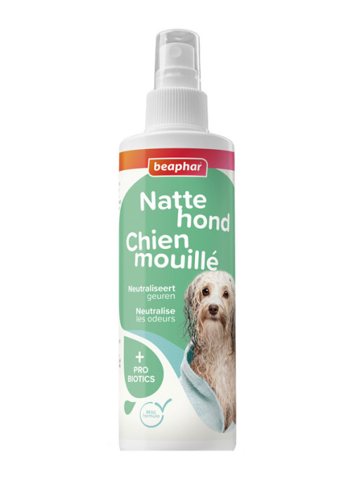 Spray chien mouillé 250ml Beaphar