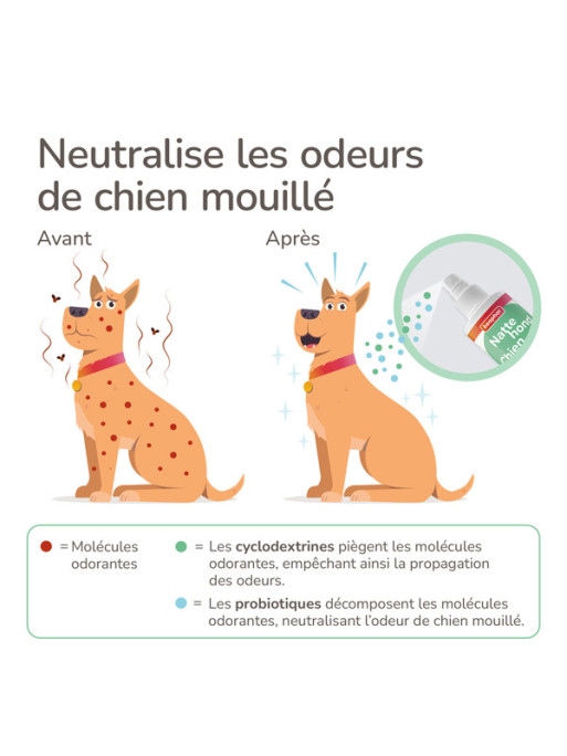 Spray chien mouillé 250ml Beaphar