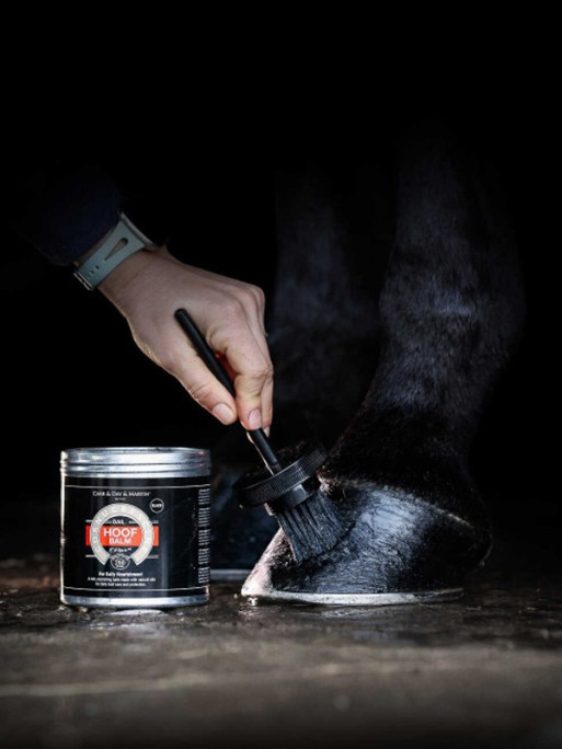 Baume pour sabot noir Cornucrescine Carr & Day & Martin
