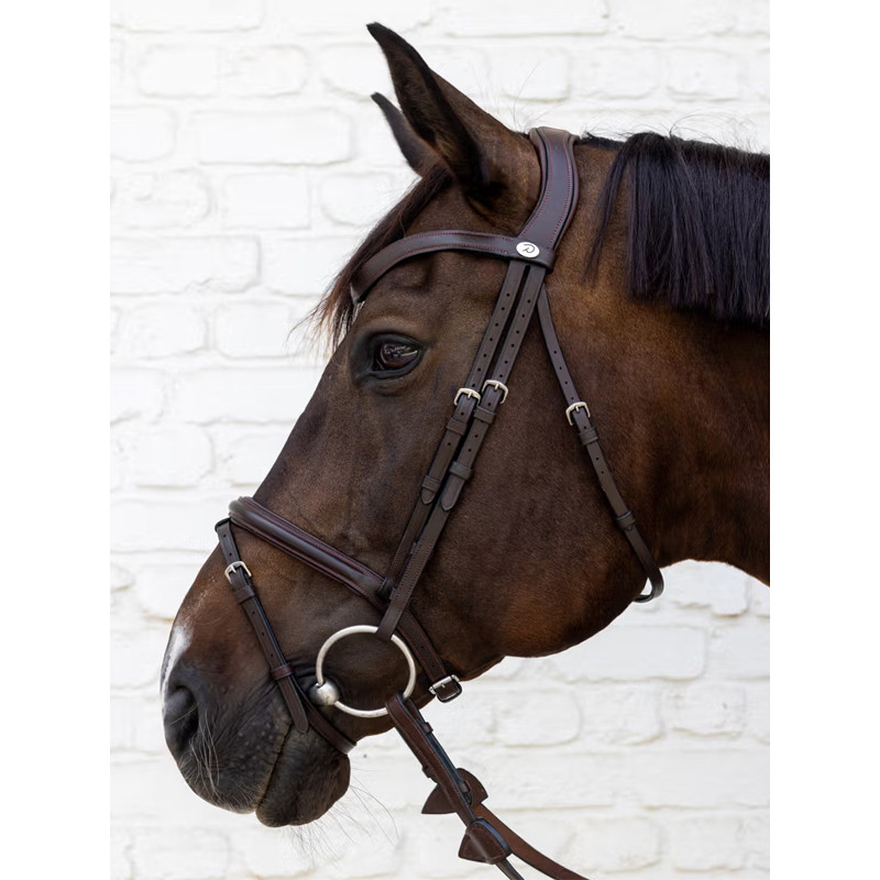 Bridon Flash soft leather Dy'on