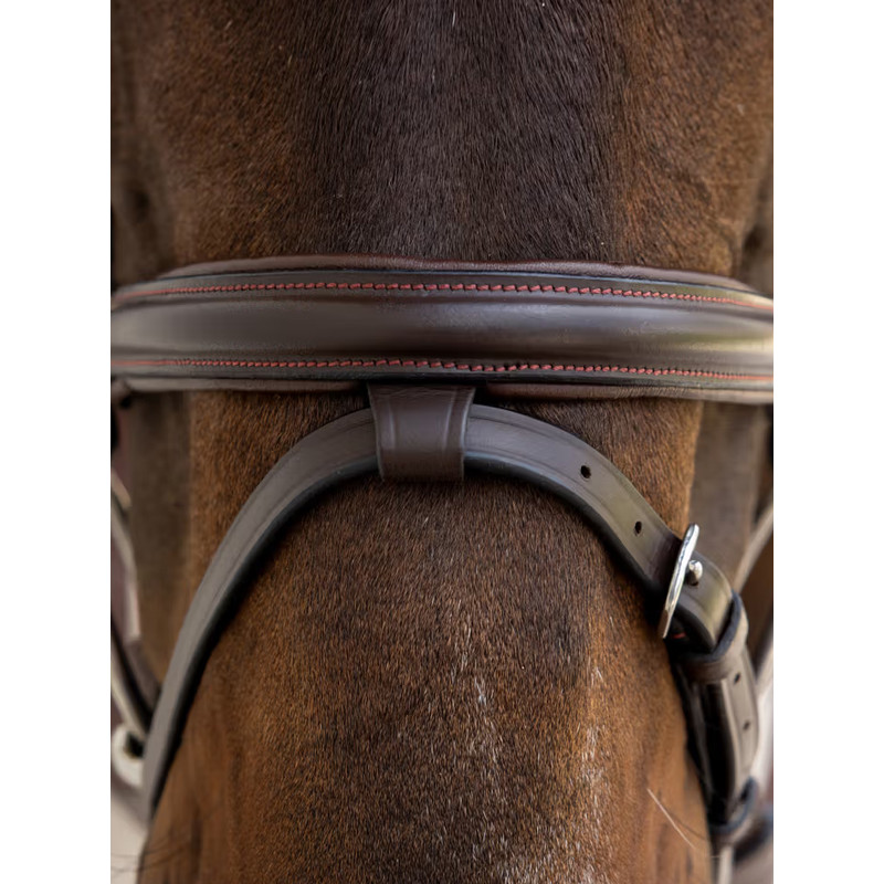 Bridon Flash soft leather Dy'on