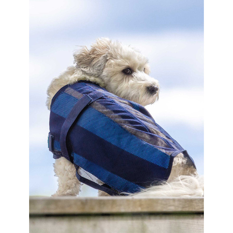 Manteau rafraîchissant chien Cool on Track 2.0 Back On Track