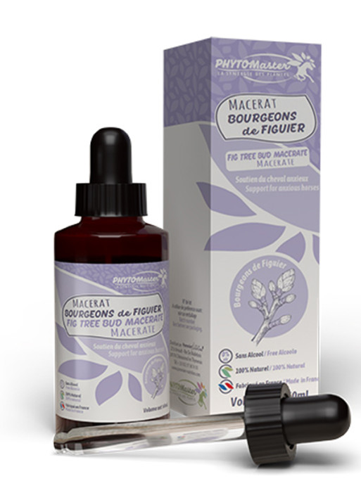 Macérât de bourgeons de figuier 60ml Phyto Master