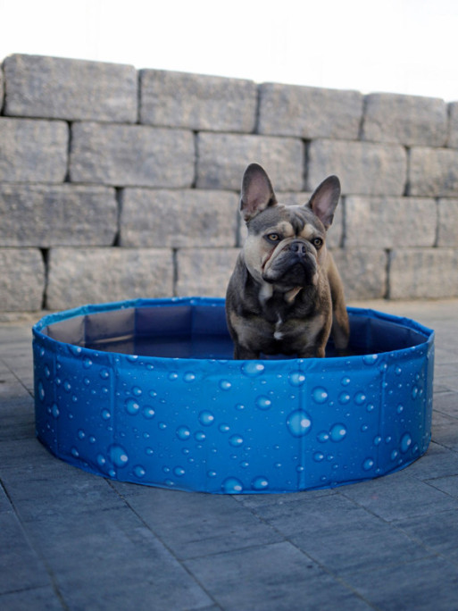 Piscine pour chien Bubble Kerbl