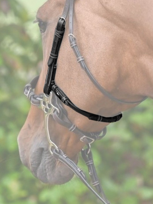 Montants et lanière pour hackamore Collection Week Jump'In