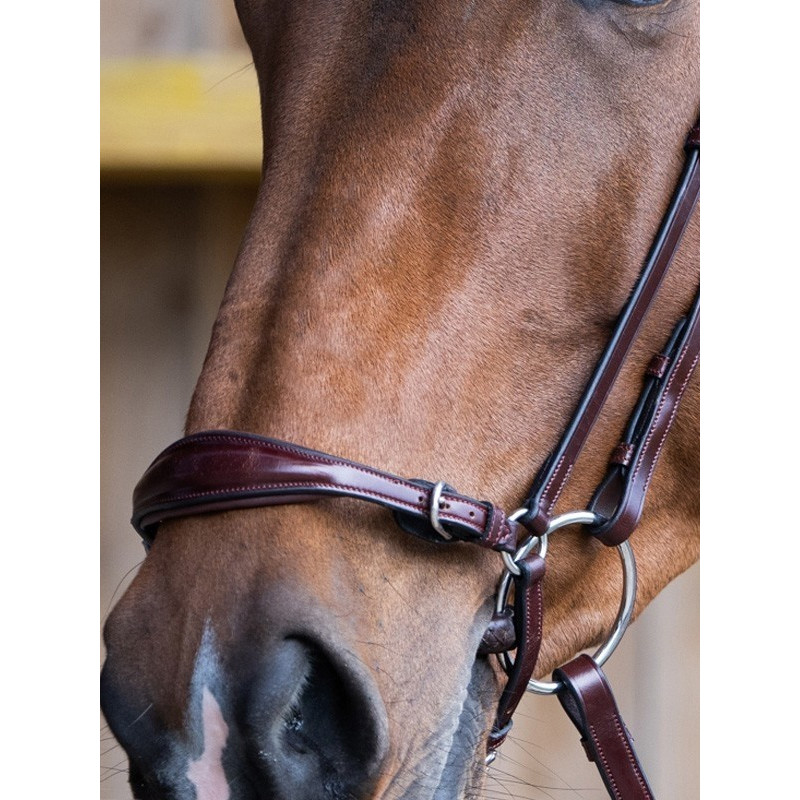 Bridon Evolution muserolle allemande Origin Jump'In