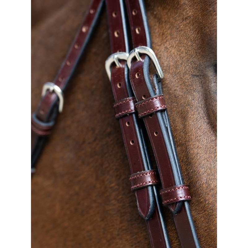 Bridon Evolution muserolle allemande Origin Jump'In