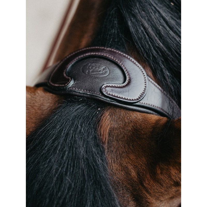 Bridon Evolution muserolle croisée Origin Jump'In