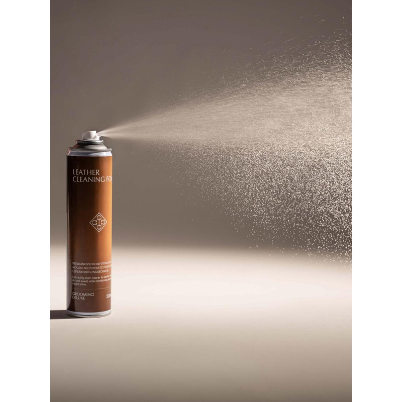 Mousse nettoyante pour cuir 300ml Kentucky