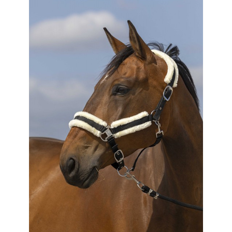 Licol nylon mouton Equi-Thème