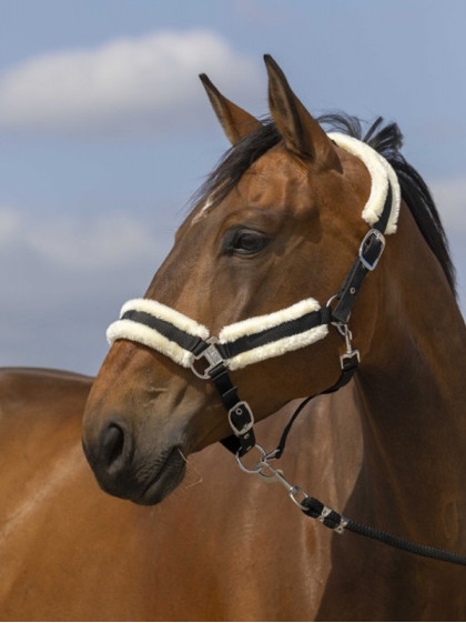 Licol nylon mouton Equi-Thème