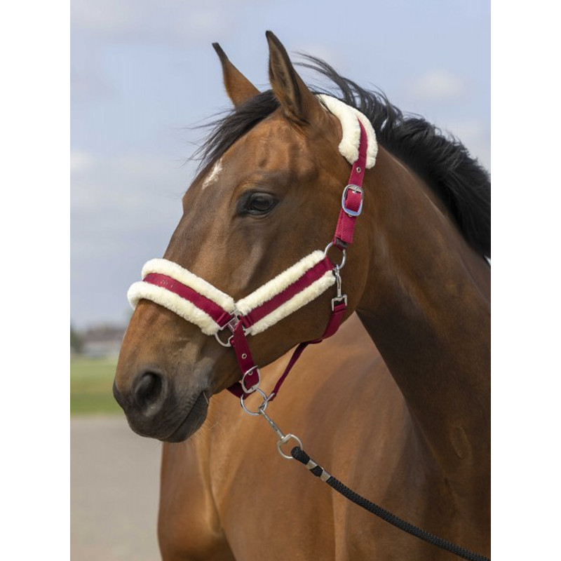 Licol nylon mouton Equi-Thème