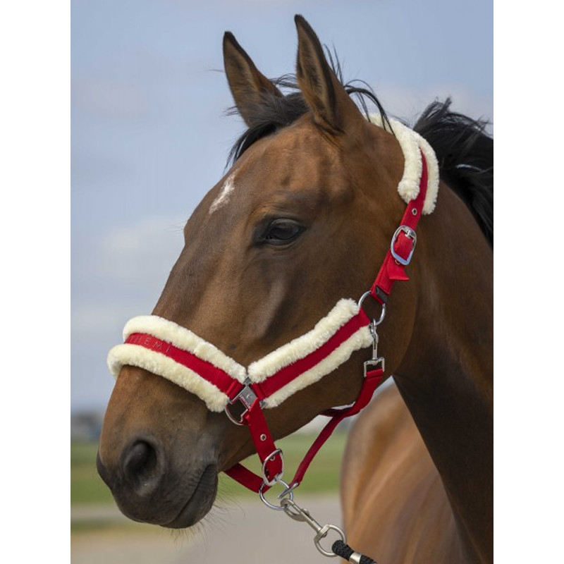 Licol nylon mouton Equi-Thème