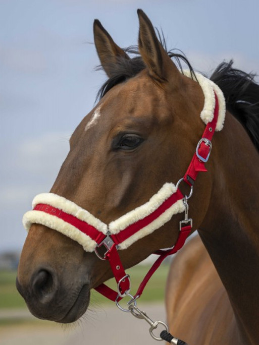Licol nylon mouton Equi-Thème