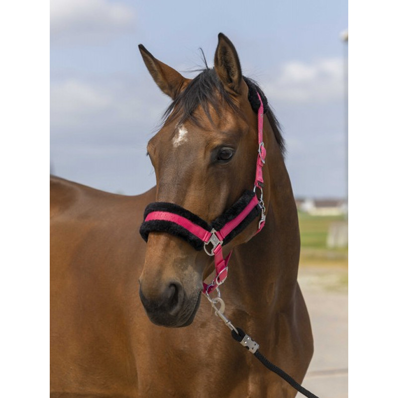 Licol nylon mouton Equi-Thème