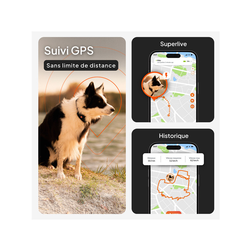 Collier avec traceur GPS XT chien Weenect