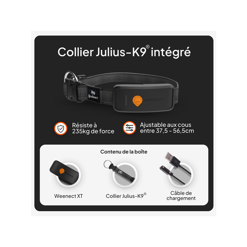 Collier avec traceur GPS XT chien Weenect