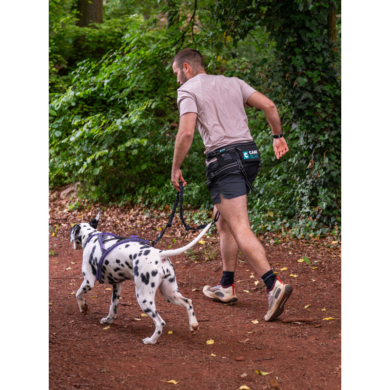 Harnais Olympia Cani Gear