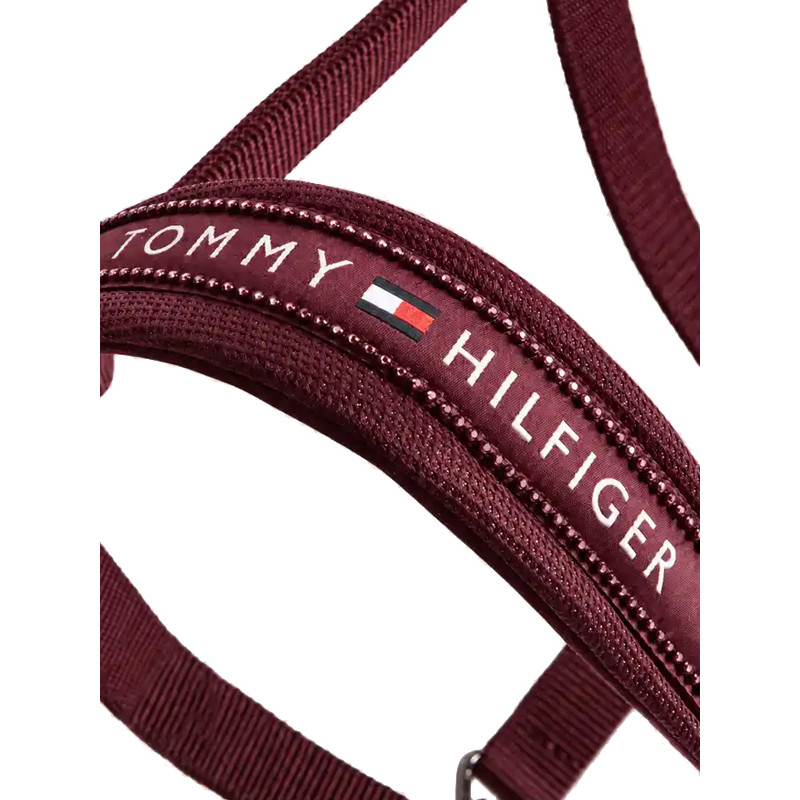 Licol + longe Yale Shine FW26 Tommy Hilfiger Equestrian