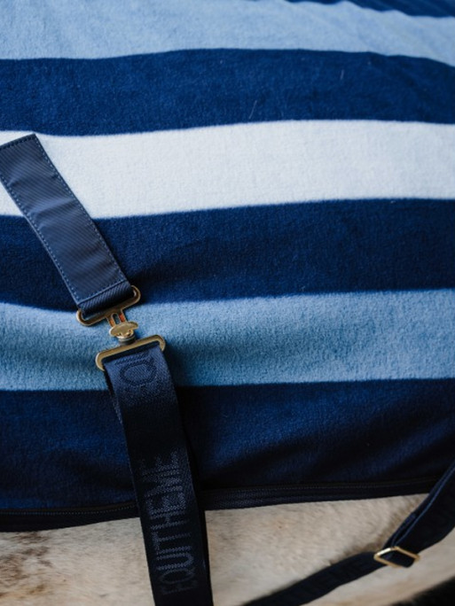 Chemise polaire Confortech Stripe Equi-Thème