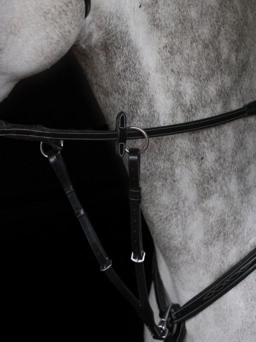Collier de chasse Alba HFI
