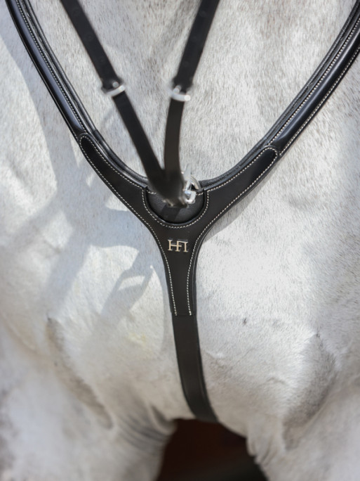 Collier de chasse Aosta HFI