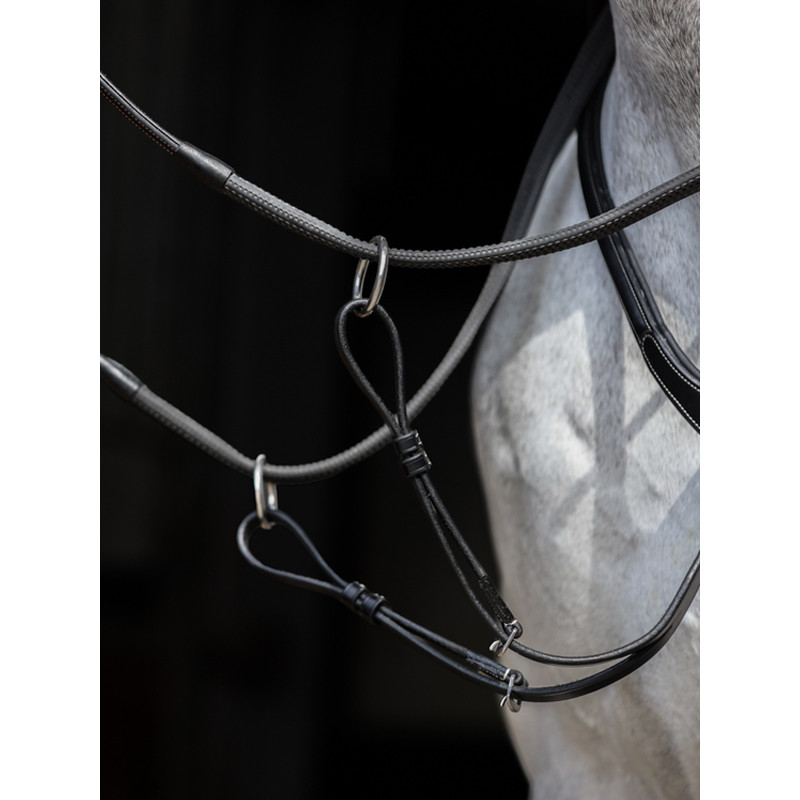 Collier de chasse Aosta HFI