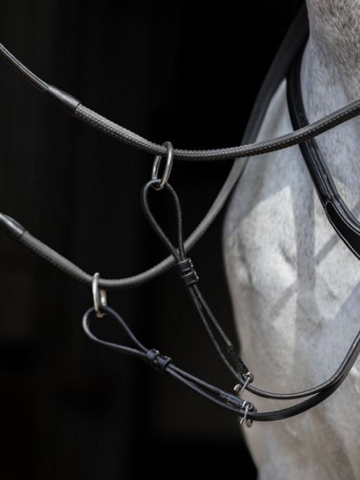Collier de chasse Aosta HFI