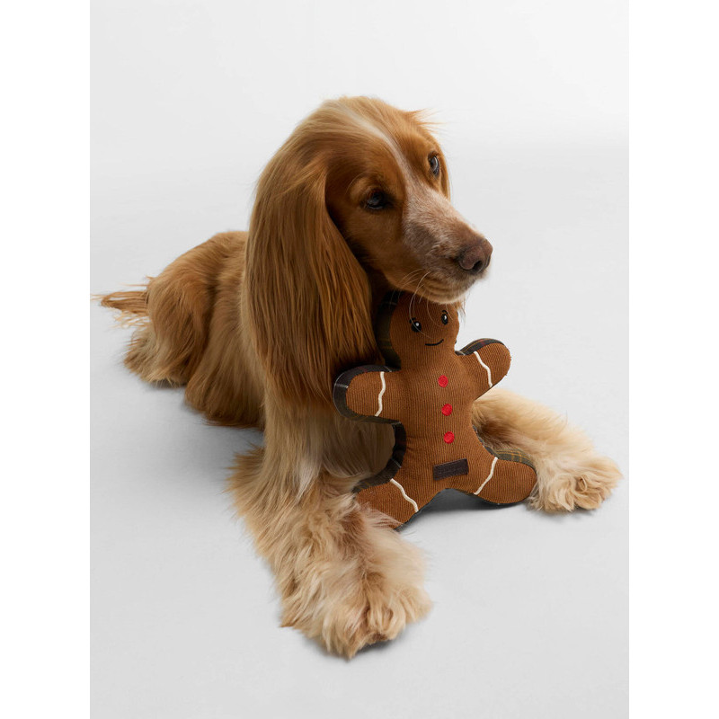 Jouet chien Gingerbread FW26 Barbour