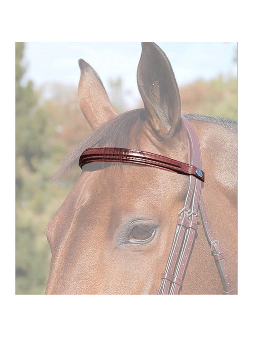 Frontal "New English Collection" Dy'on