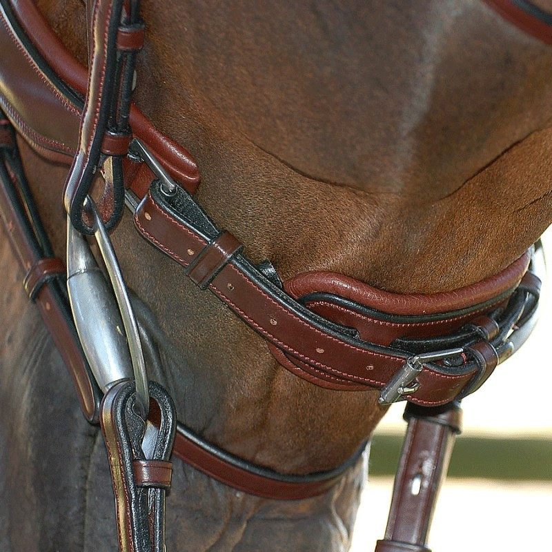 Bridon Muserolle Combinée Pull Back Dressage Collection Dy'on